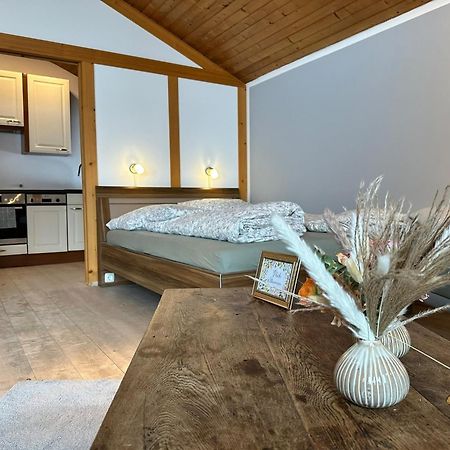 Appartement Hochwildfeuerberg شتاينغادن المظهر الخارجي الصورة