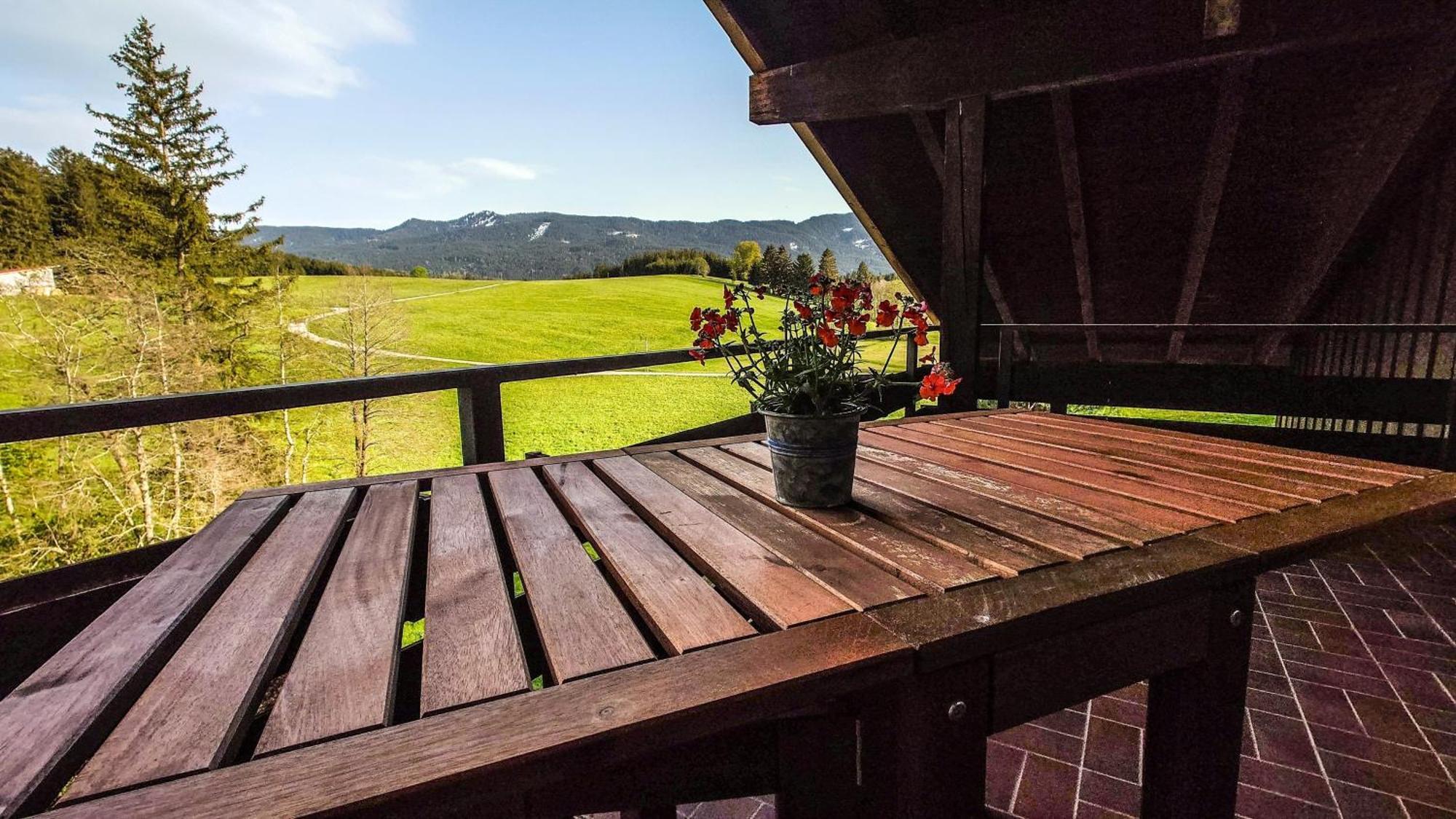 Appartement Hochwildfeuerberg شتاينغادن المظهر الخارجي الصورة