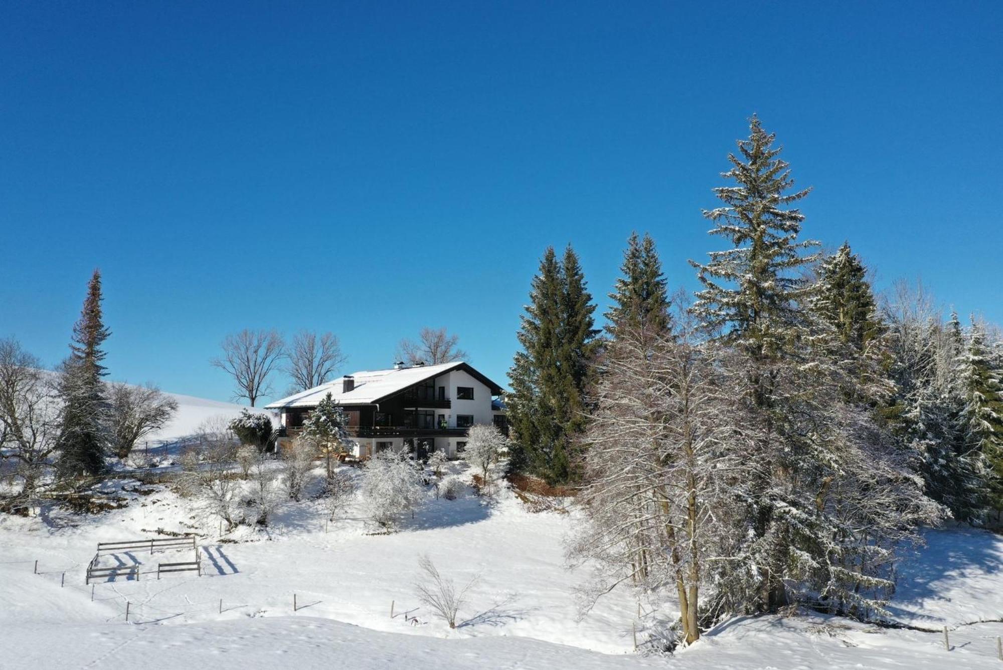 Appartement Hochwildfeuerberg شتاينغادن المظهر الخارجي الصورة