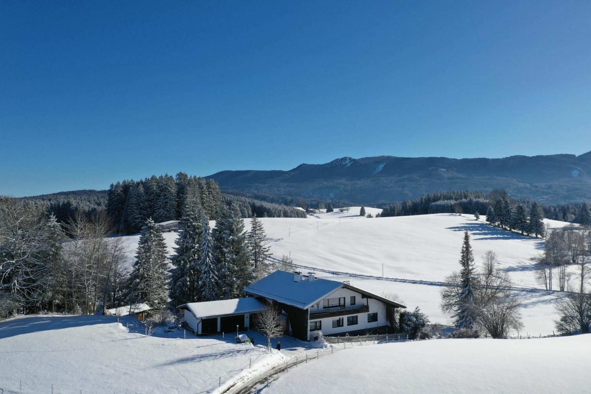 Appartement Hochwildfeuerberg شتاينغادن المظهر الخارجي الصورة