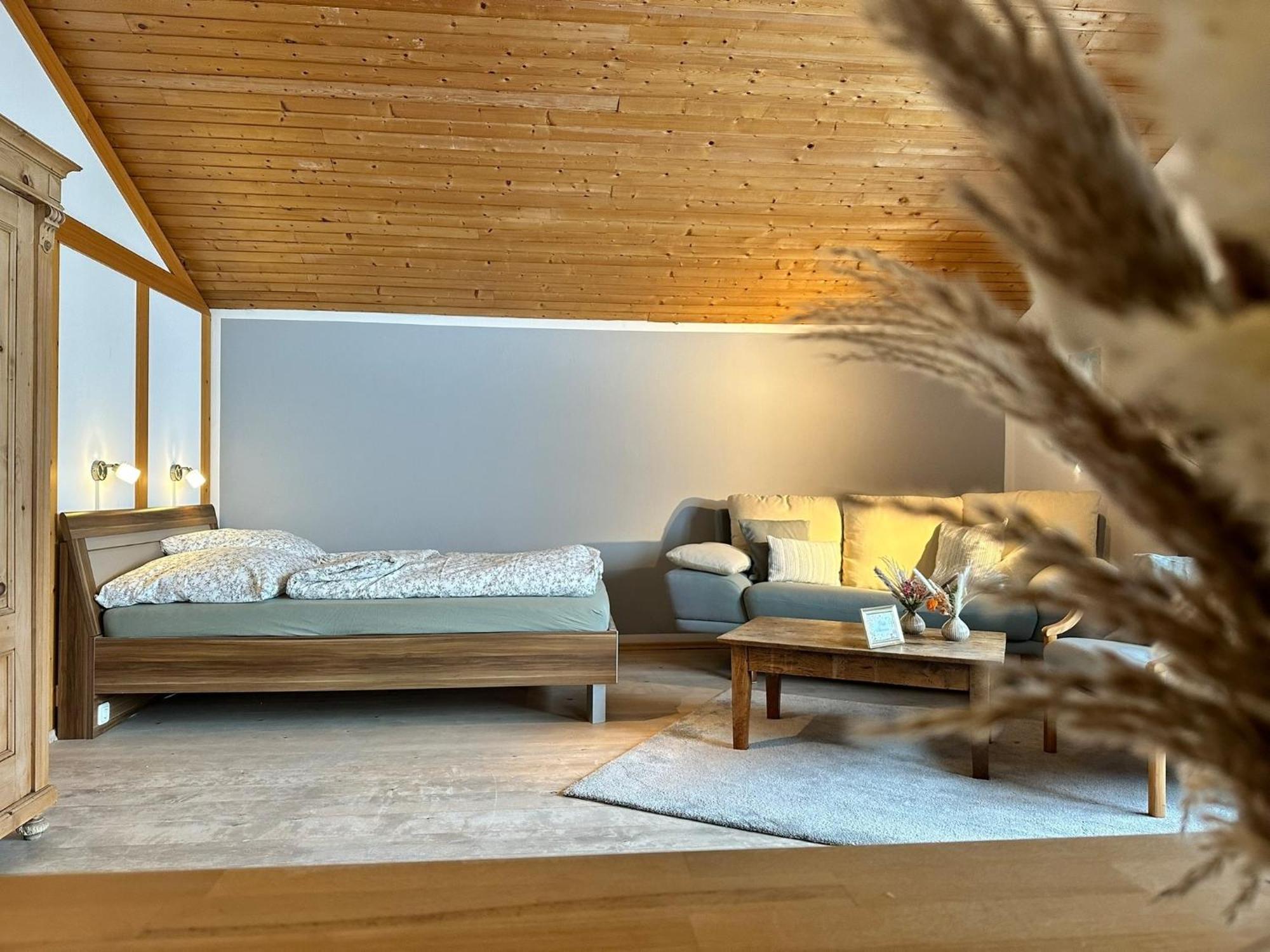 Appartement Hochwildfeuerberg شتاينغادن المظهر الخارجي الصورة